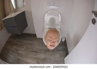 Scary Toilet