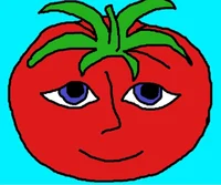 Mr tomato