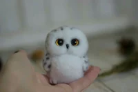 baby owl