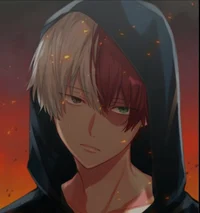 Shoto Todoroki 