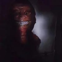Entity 15