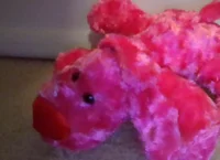 Pink dog 
