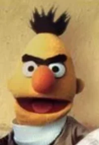 Bert 