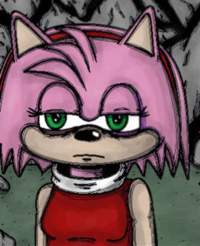 Amy Rose -TGT-
