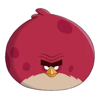 Terence