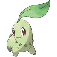 Chikorita