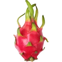 Dragon fruit Madison