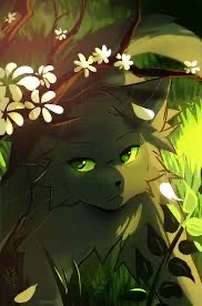 Hollyleaf 