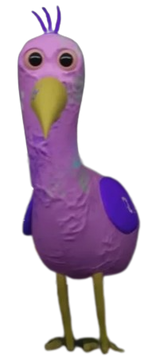 Opila bird