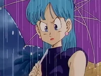 Bulma Briefs