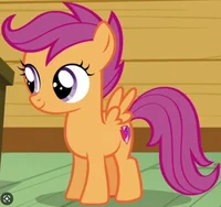 Scootaloo