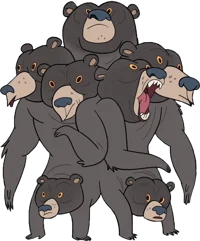 Multi-Bear