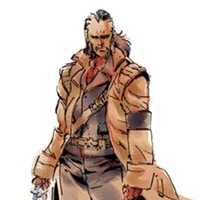 Revolver ocelot 