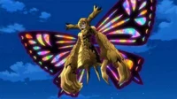 gloxinia