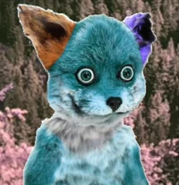 Turquoise is a fox