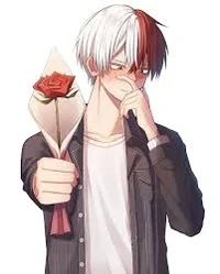 Shoto Todoroki
