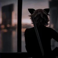 Cat Noir
