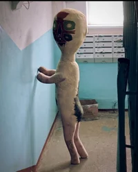 Scp-173