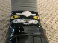 Bruh Cat Sock