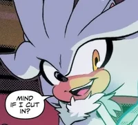 Silver the Hedgehog 
