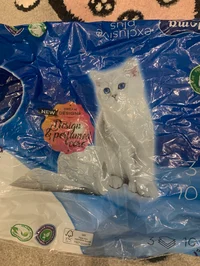 Toilet paper Cat