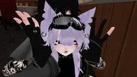 VRChat player
