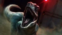 scraw the raptor
