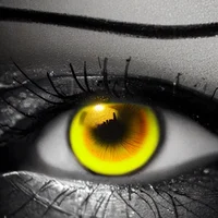Yellow Eye