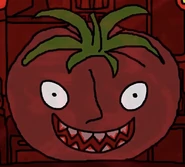 mr tomatos