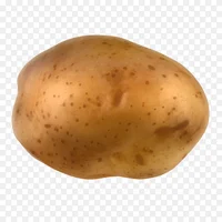 Potato