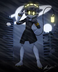 Serial Designation N