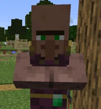 Cleric Villager