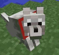 Villager Dog