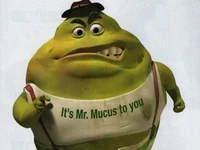 Mr Mucus