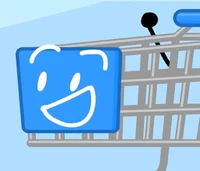 Shopping cart