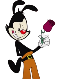 Yakko