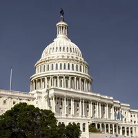 Political Prediction