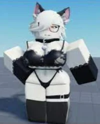 Roblox Cat Maid