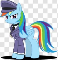 Police Rainbow dash