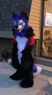 Dancing furry