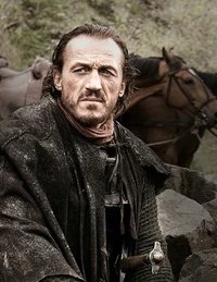 Ser Bronn 