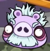 Zombie pig angry bir