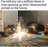 Warrior OC Generator