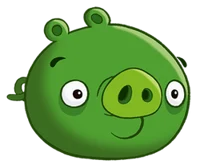 Friendly pig angry b