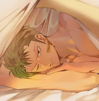 Zoro your husband 
