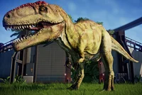 Giganotosaurus JWE