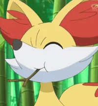 Phoenix the Fennekin