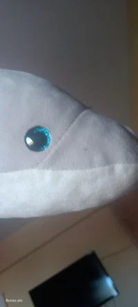 Sharkyai