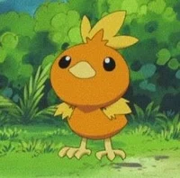 Torchic