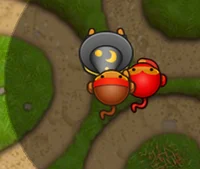 The Bloonseeing trio